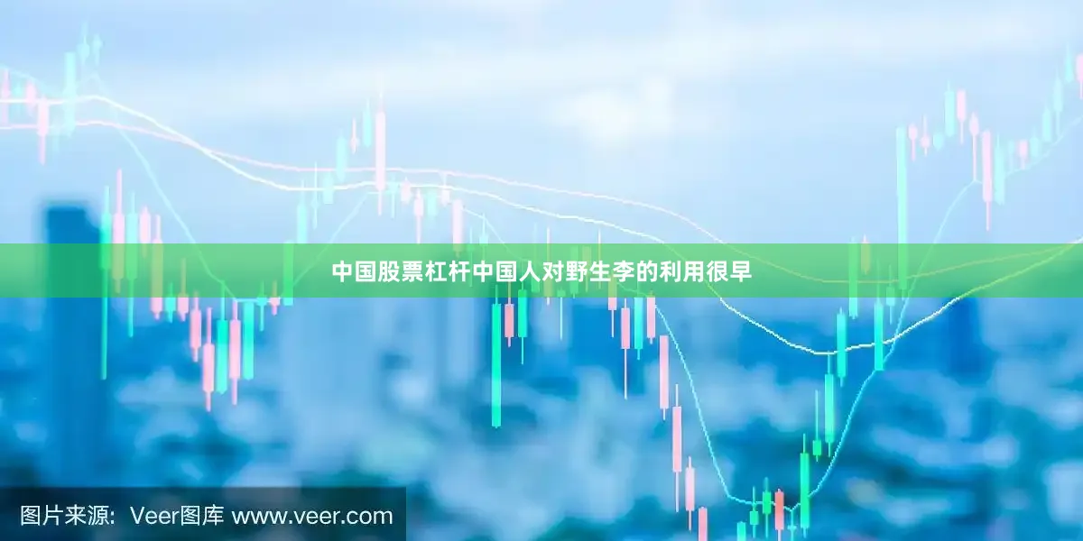 中国股票杠杆中国人对野生李的利用很早